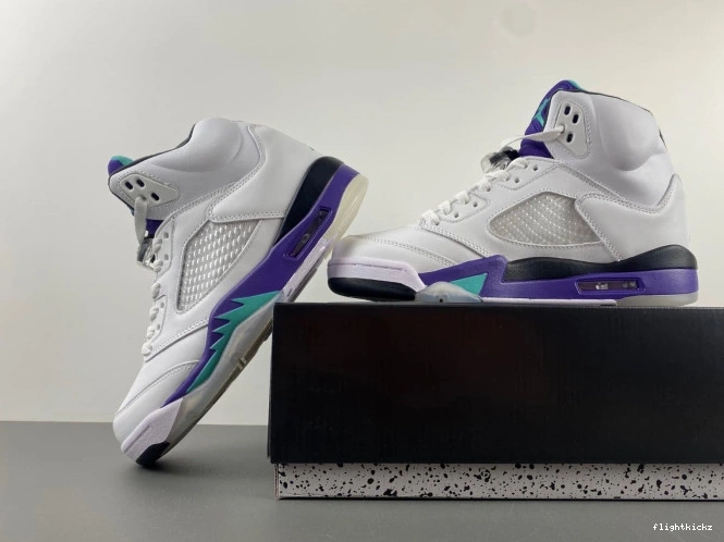 (2013) Jordan Retro 136027-108 Air Grape 5 0916